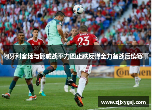 匈牙利客场与挪威战平力图止跌反弹全力备战后续赛事