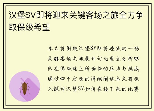 汉堡SV即将迎来关键客场之旅全力争取保级希望