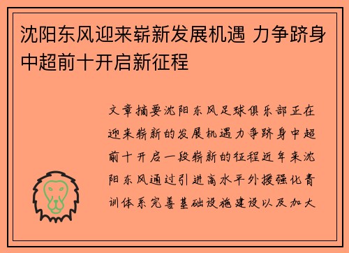 沈阳东风迎来崭新发展机遇 力争跻身中超前十开启新征程